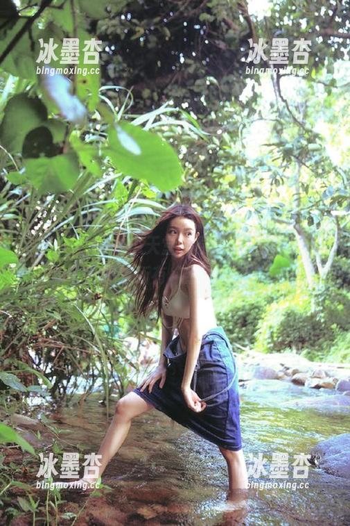 吃瓜天堂，原来可以这样永久追踪所有“热闹”！